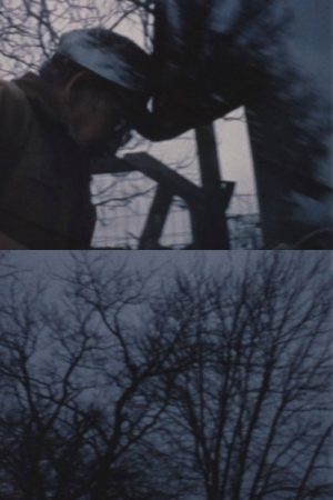 Kept (2018) poster