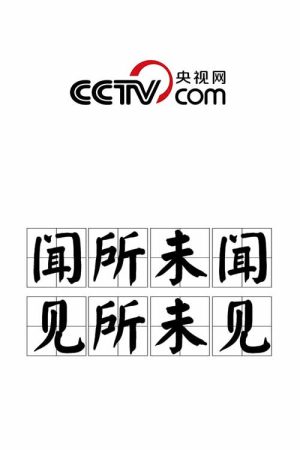 闻所未闻 见所未见 (2017) poster