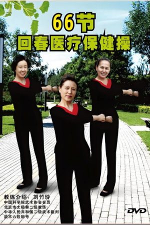 回春医疗保健操 (2020) poster