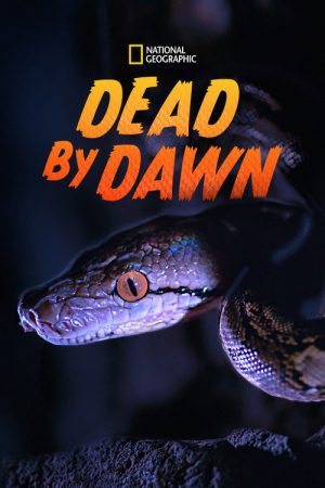 Dead By Dawn (2019) poster