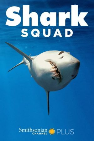 Shark Squad (2017) poster