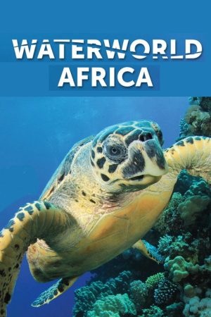Waterworld Africa (2016) poster