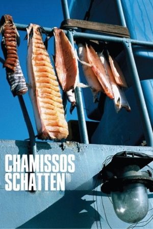 Chamisso’s Shadow (2016) poster
