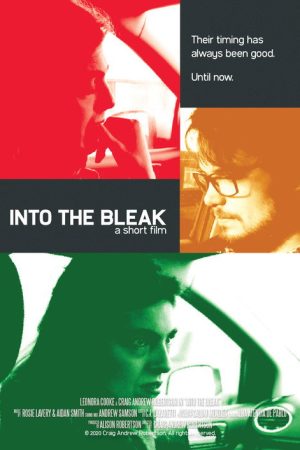 Into the Bleak (2020) poster