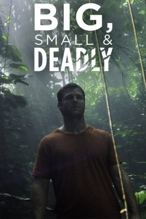 Big Small and Deadly (2019) poster