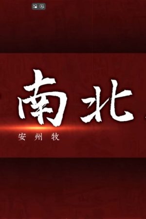 风云南北朝 (2020) poster