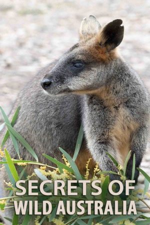 Secrets of Wild Australia (2016) poster