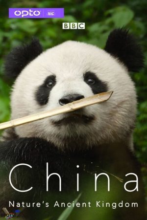 China Nature’s Ancient Kingdom (2021) poster