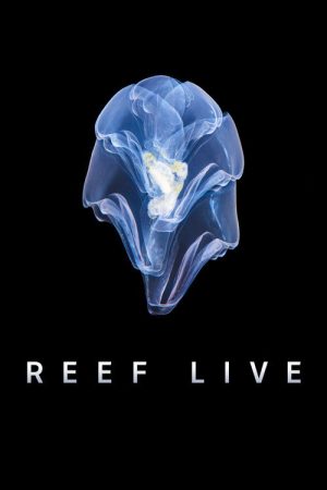 Reef Live (2020) poster