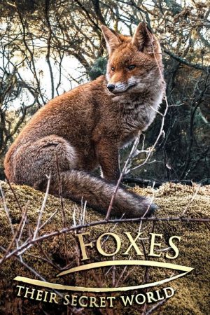 Foxes: Their Secret World (2021) poster