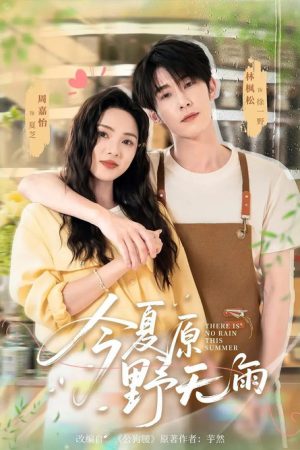 今夏原野无雨 (2025) poster