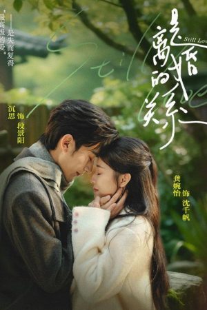 是离婚的关系 (2026) poster