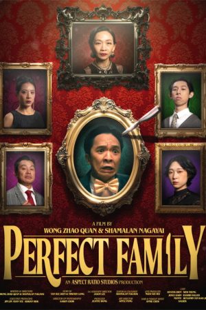 Perfect Family (2025) poster