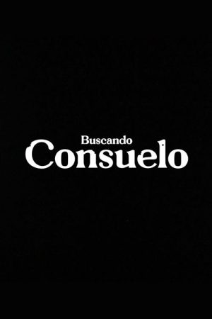 Buscando consuelo (2024) poster