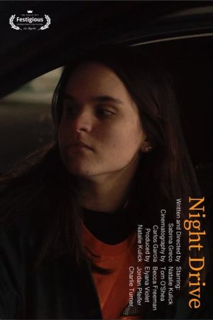 Night Drive (2020) poster