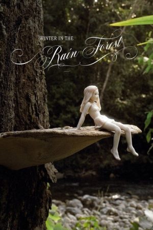Winter In The Rainforest (2019) poster
