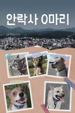 안락사 0마리 (2021) poster