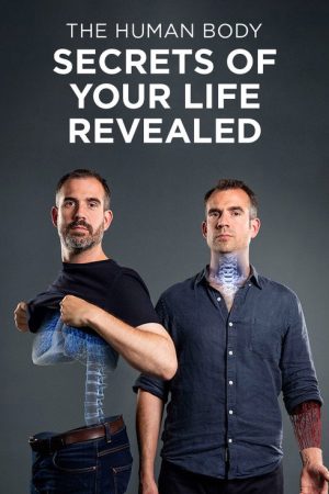 The Human Body: Secrets of Your Life Revealed (2017) poster