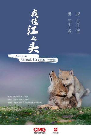 我住江之头 (2022) poster