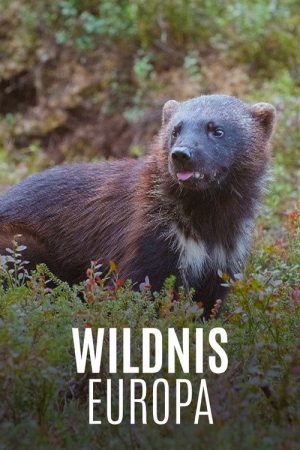 Wildnis Europa (2021) poster
