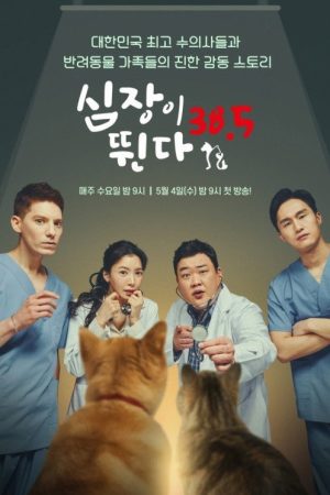 심장이 뛴다 38.5 (2022) poster