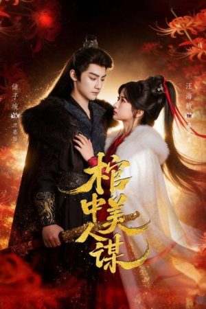 棺中美人谋 (2026) poster