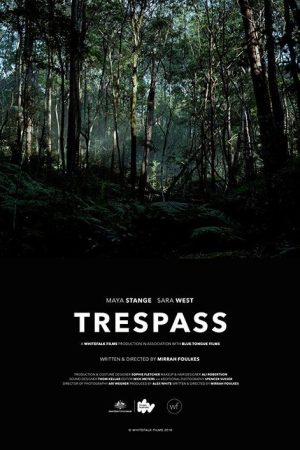Trespass (2016) poster