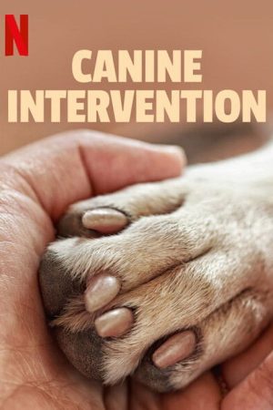 Canine Intervention (2021) poster