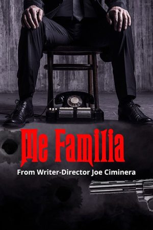 Me Familia (2017) poster