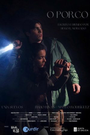 O porco (2025) poster