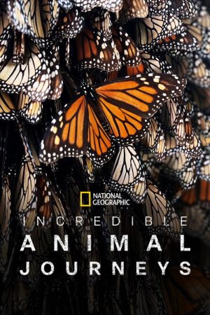 Incredible Animal Journeys (2023) poster