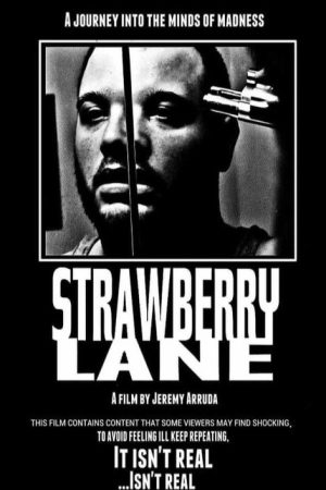 Strawberry Lane (2019) poster
