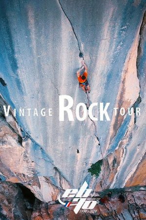 Vintage Rock Tour (2020) poster