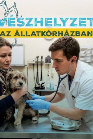 Vészhelyzet az állatkórházban (2026) poster