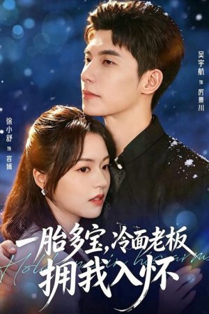 一胎多宝，冷面老板拥我入怀 (2026) poster