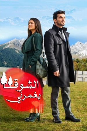 Pardes Mein Hai Mera Dil (2016) poster