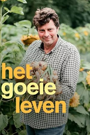 Het goeie leven (2016) poster