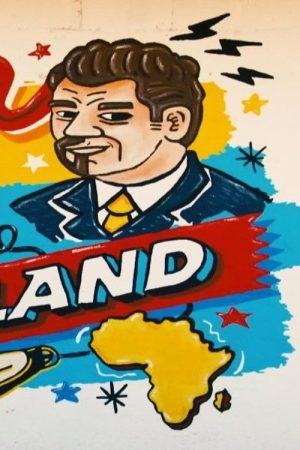 Ersin in wonderland (2017) poster