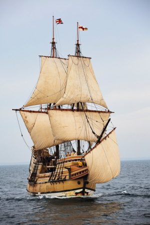 In het kielzog van de Mayflower (2022) poster