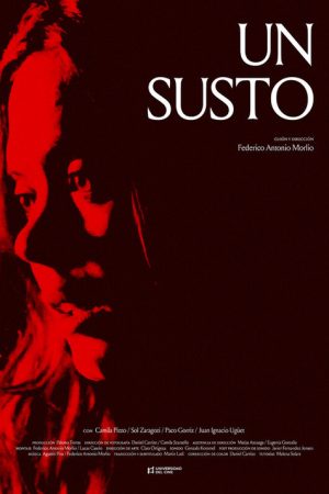 A Fright (2024) poster