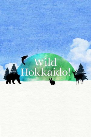 Wild Hokkaido! (2017) poster