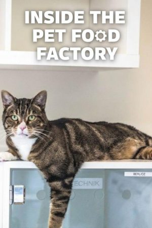 Inside the Pet Food Factory (2019) poster