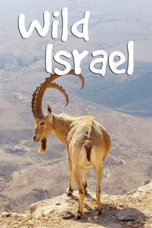 Wild Israel (2016) poster