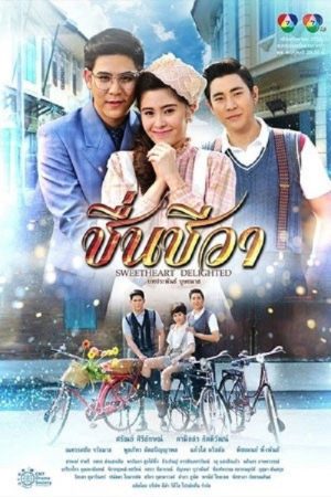 Sweetheart Delighted (2016) poster