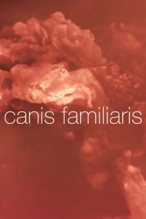 Canis familiaris (2017) poster