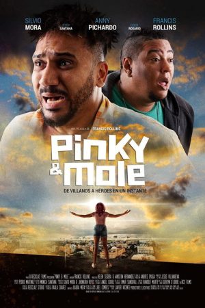 Pinky & Mole (2020) poster