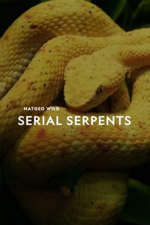 Serial serpents (2020) poster