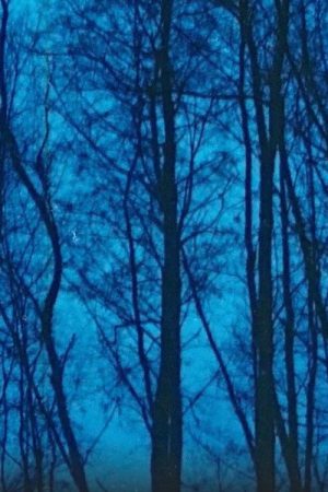 Desastres naturales (2020) poster