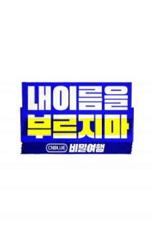 CNBLUE Secret Tour: Don’t Call My Name (2020) poster
