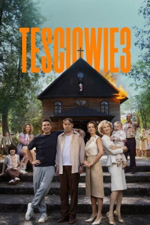 The In-Laws 3 (2025) poster